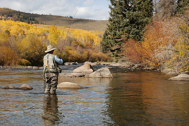 istock Woman Fly-Fishing 173584452