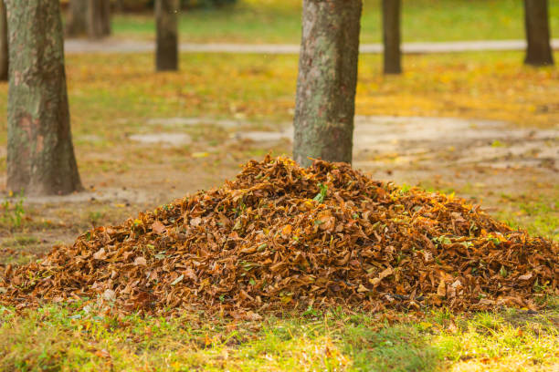 istock Autumn leaves in heap. October 1735851052