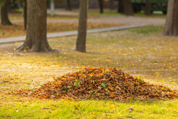 istock Autumn leaves in heap. October 1735851594