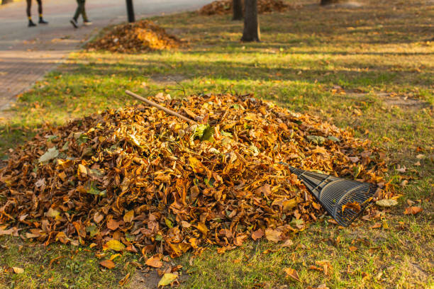 istock Leaf rake. Autumn. Yellow leaves on grass in park. 1735852175