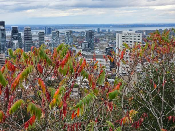 istock Montreal downtown skyscraper Mont Roya autumn fall Canada 1735852178