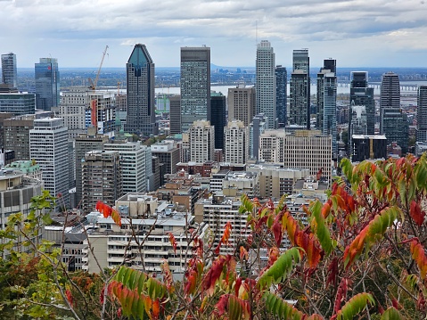 Montreal downtown skyscraper Mont Roya autumn fall Canada