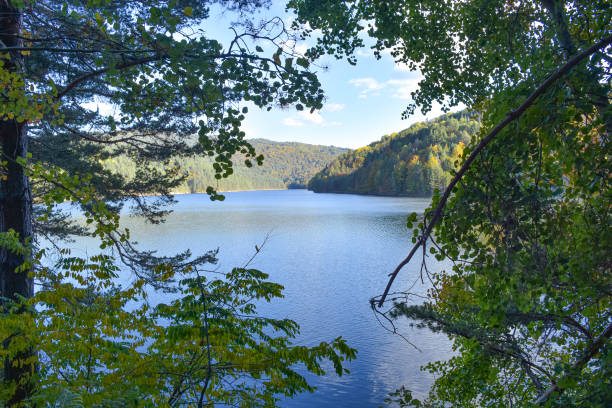 istock Autumn landscape with colorful forest 1735856458
