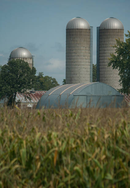 istock US Silo close to Canadian Border. 1735857484