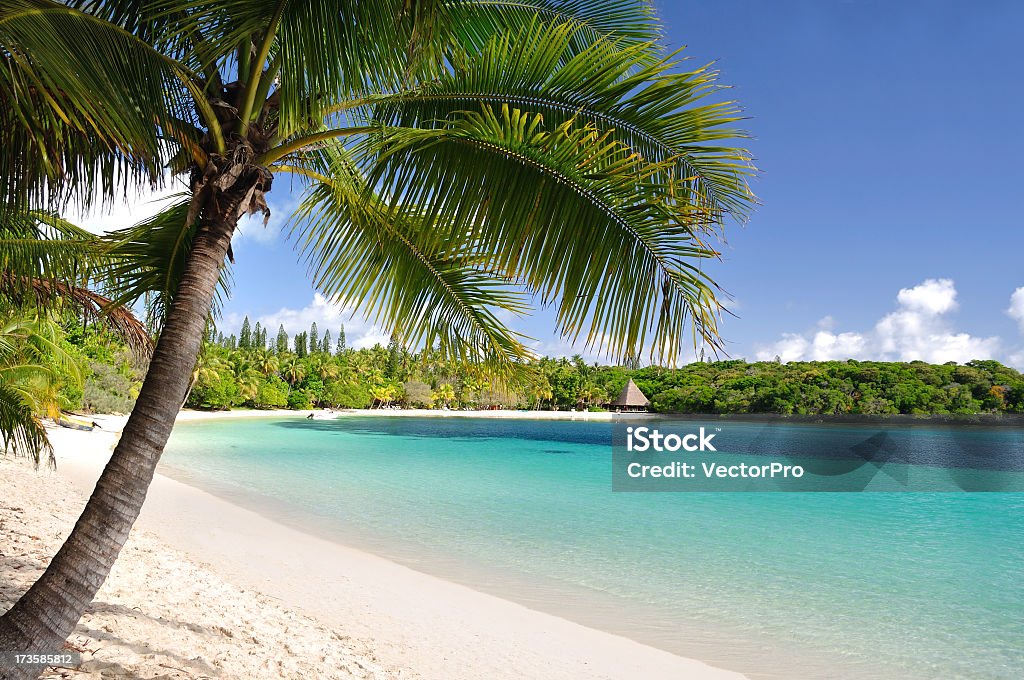Island Paradise Turquoise water, white powder beaches, clear blue skies and coral reefs. I need a holiday. New Caledonia Stock Photo