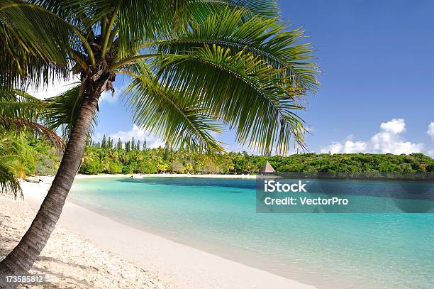 Island Paradise Stock Photo - Download Image Now - New Caledonia, Beach, Nature