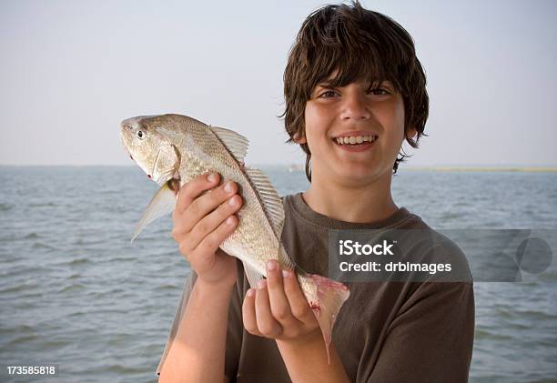 남자아이 쥠 고기잡이 물고기에 대한 스톡 사진 및 기타 이미지 - 물고기, 대서양, 바다