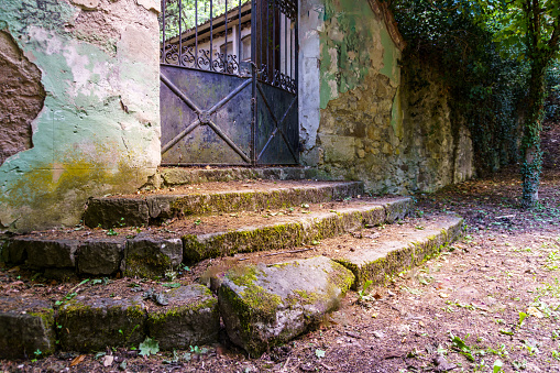 Entrance in an old mansion with stairs full of leaves and a rusty fence.