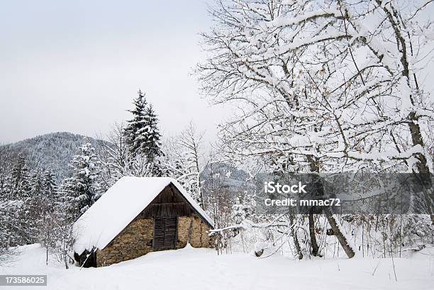 En Paisaje De Invierno Shack Nival Foto de stock y más banco de imágenes de Abeto Picea - Abeto Picea, Aire libre, Ajardinado