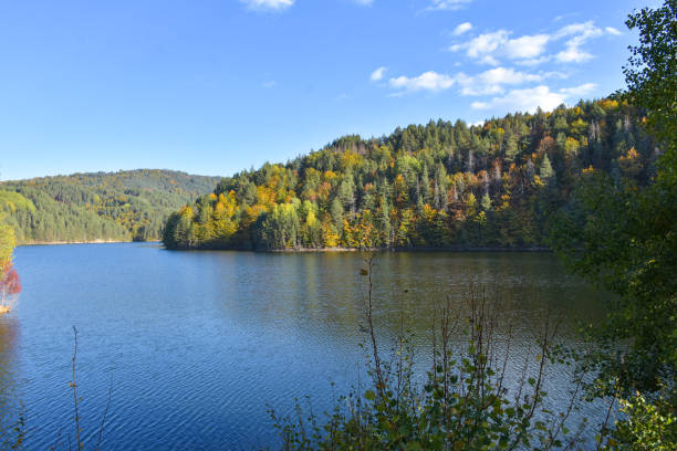 istock Autumn landscape with colorful forest 1735863958