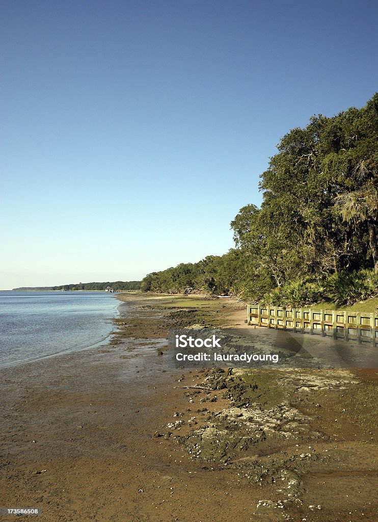 Cumberland Island Nature en Géorgie, États-Unis - Photo de Cumberland Island libre de droits