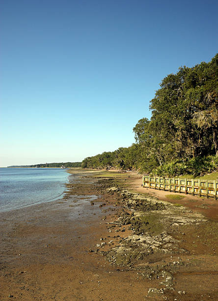 カンバーランド島の自然ジョージア州（米国） - georgia cumberland island beach tide ストックフォトと画像