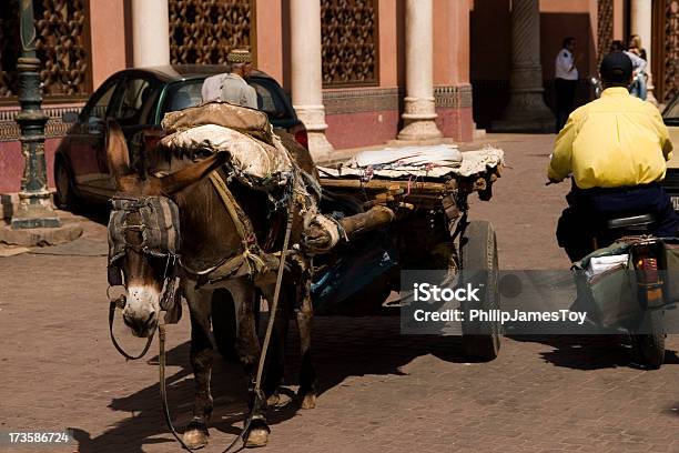 Trabalhar Mula Bicicleta Motorizada Rider - Fotografias de stock e mais imagens de Alforje - Cesto - Alforje - Cesto, Bicicleta Motorizada, Carroça