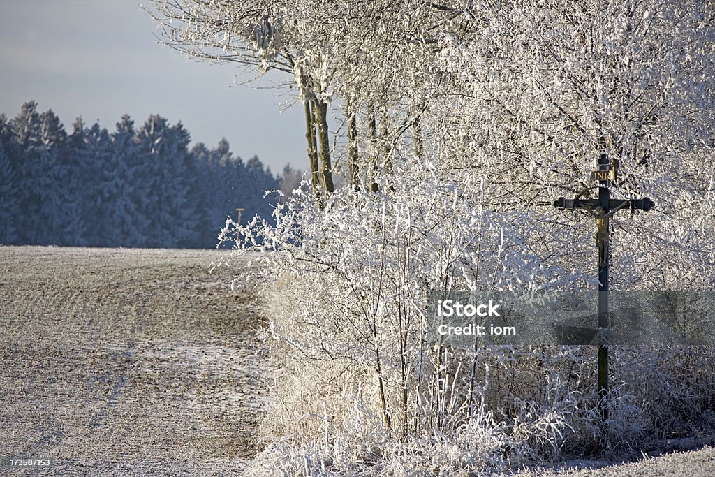 cold jesus hoar everywhere on a early sunny winter morning Backgrounds Stock Photo