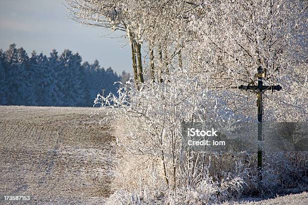Cold Jesus Stock Photo - Download Image Now - Backgrounds, Bare Tree, Beauty