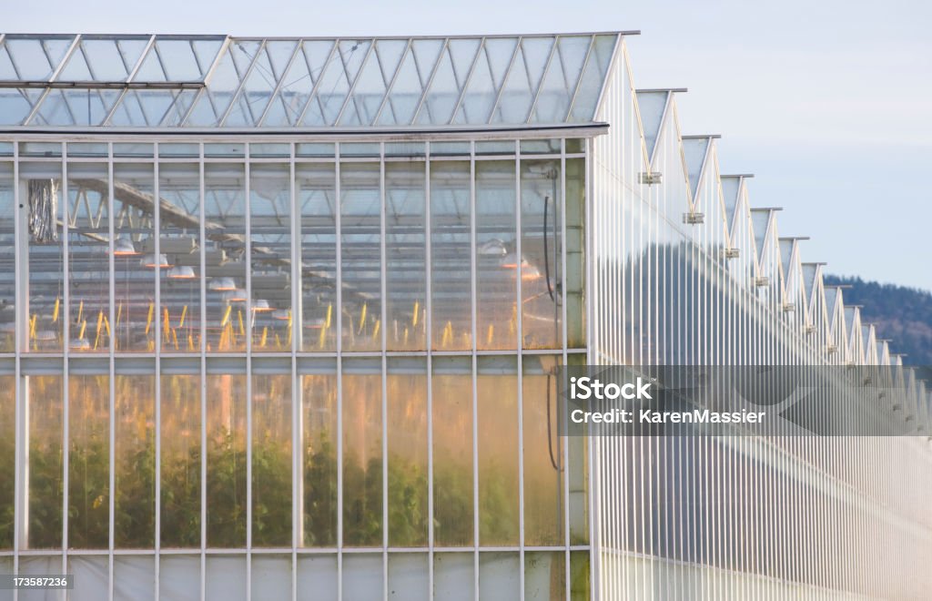 Glass Greenhouses Large commercial farming operation. Agriculture Stock Photo