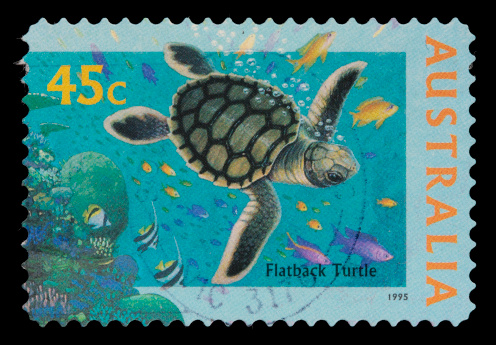 An Australian postage stamp depicting a Flatback turtle swimming in the ocean among fish and coral. DSLR with 100mm macro; no sharpening.