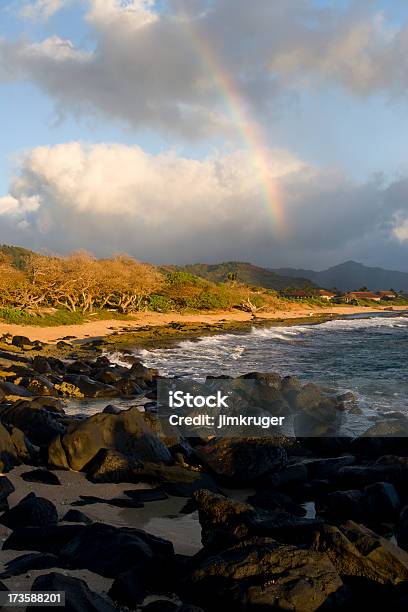 Hawaiian Shoreline Stock Photo - Download Image Now - Beach, Coastline, Hawaii Islands