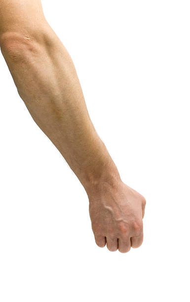 Holding Invisible Bag or Hose