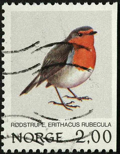 small Norwegian redbird