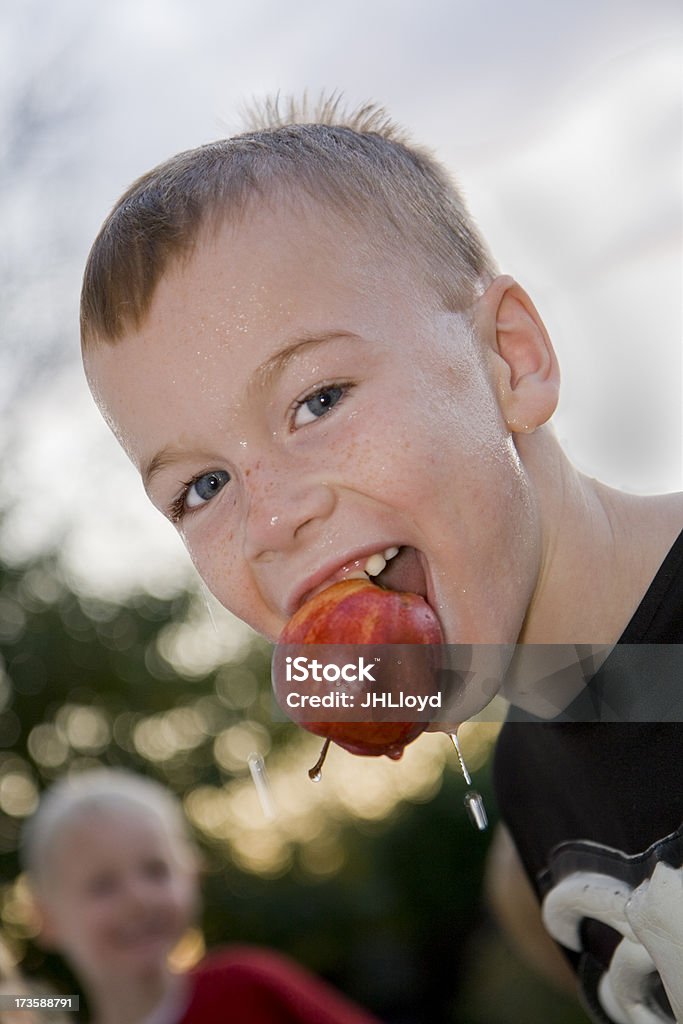 Apple bobbing em Dia das Bruxas - Royalty-free Apanhar maçãs com a boca Foto de stock