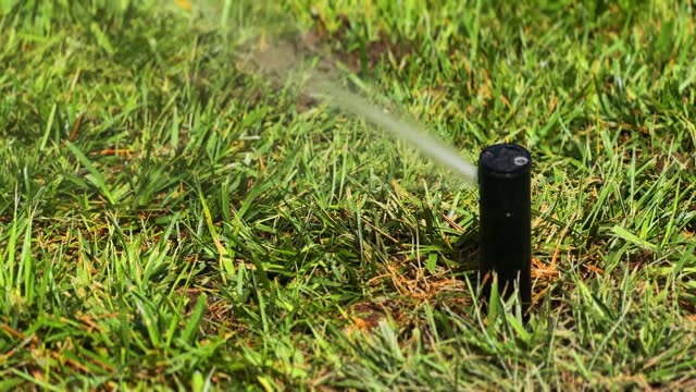 Lawn watering sprinkler stock video