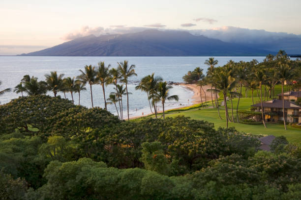 istock Hawaiian Beach and Resort at Sunset 173590942