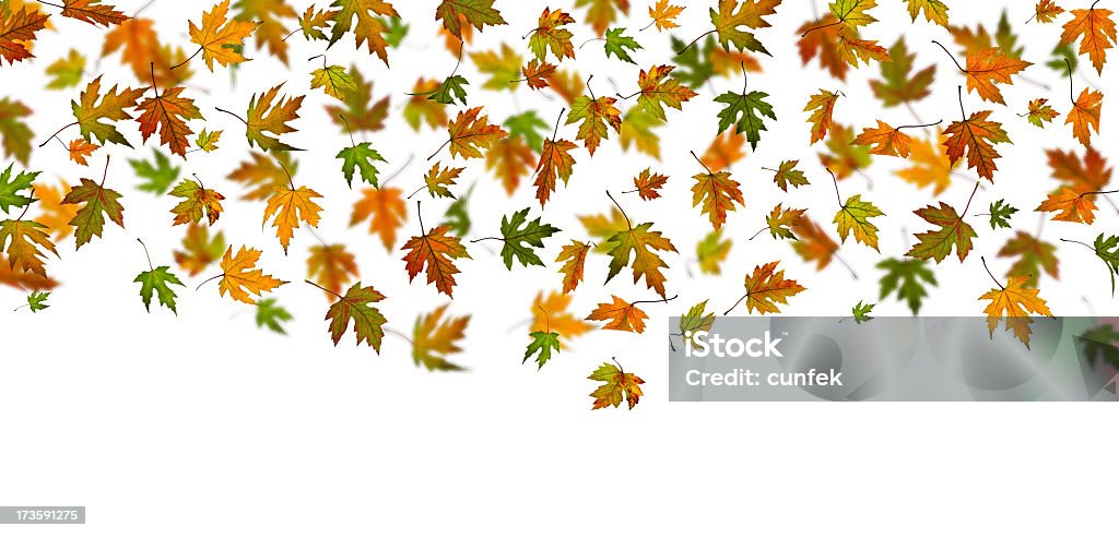 Outono panorama luz XXL - Foto de stock de Abstrato royalty-free