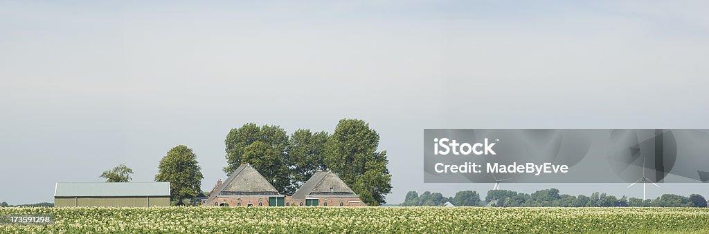 Dutch ferme - Photo de Agriculture libre de droits