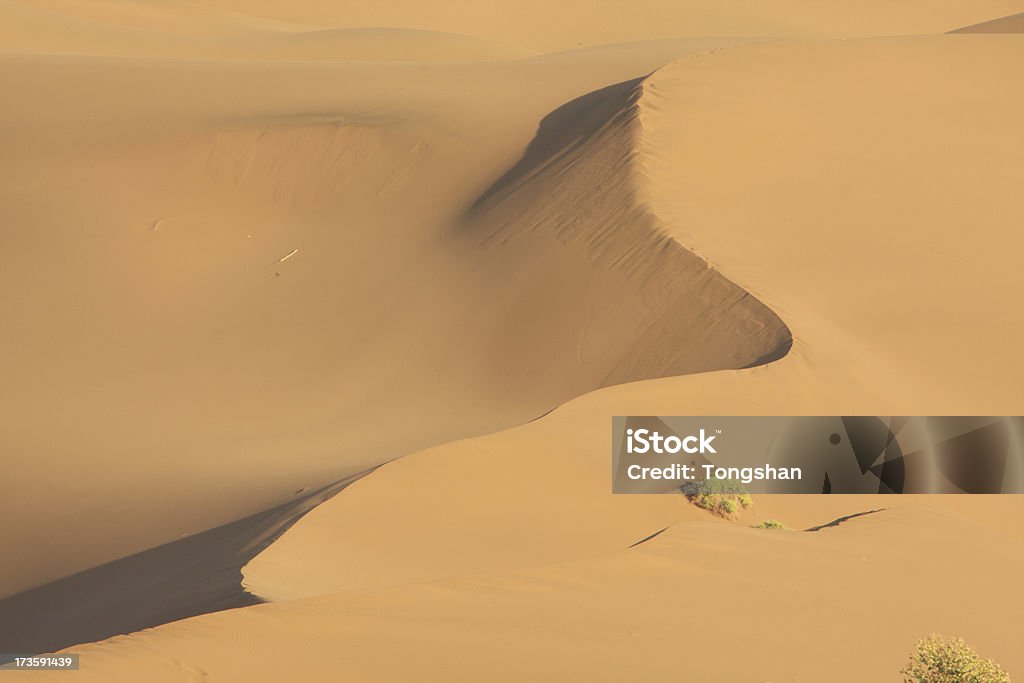Desierto de Gobi - Foto de stock de Aislado libre de derechos