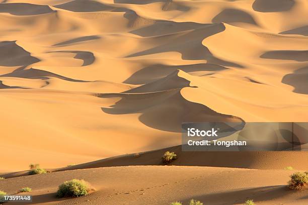 Desierto De Gobi Foto de stock y más banco de imágenes de Aislado - Aislado, Arena, Asia