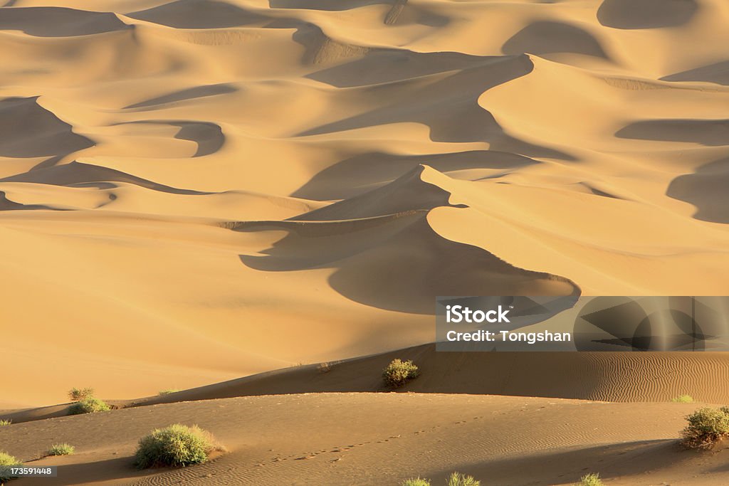 Deserto de Gobi - Foto de stock de Areia royalty-free