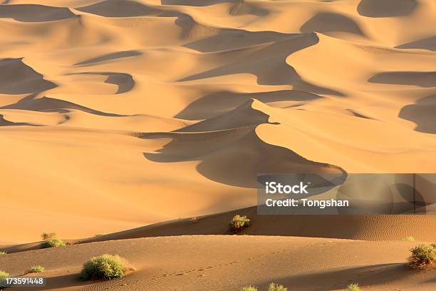 Foto de Deserto De Gobi e mais fotos de stock de Areia - Areia, Beleza natural - Natureza, Cena de tranquilidade