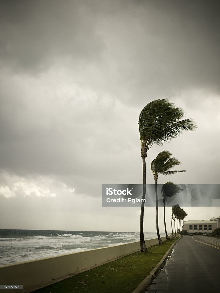 Uragano venti sterline la spiaggia - Foto stock royalty-free di Uragano