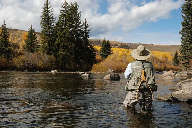 "Woman fly-fishing in the Blur River in Colorado.    The river is home for Kokanee Salmon, a freshwater variety, and Rainbow Trout. This image was taken while wading in the river behind the woman. Camera: Nikon D80.  Lens: Nikkor 18-70mm."