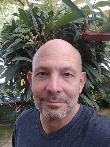 Frontal selfie of an elderly, bald man with a gray beard, with backlit green foliage in the background - SANTA ISABEL,  SAO PAULO,  BRAZIL.