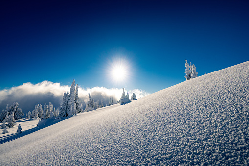 ski hill winter landscape