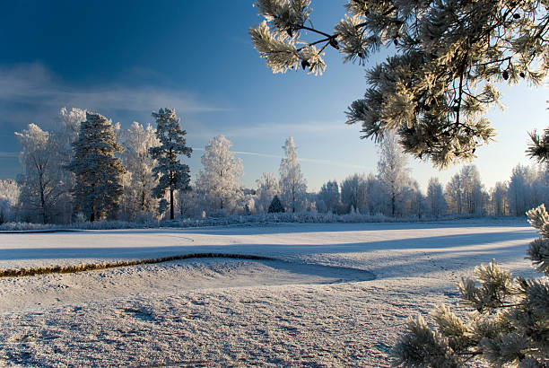 Scenic photograph of winter landscape stock photo