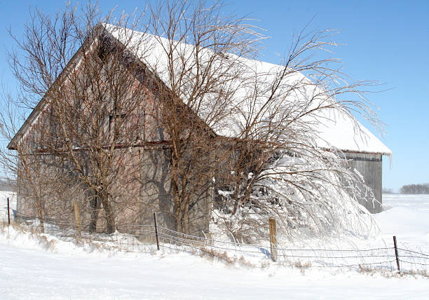 istock Barn Covered in Snow on Bitterly Cold Winter Day 173593059