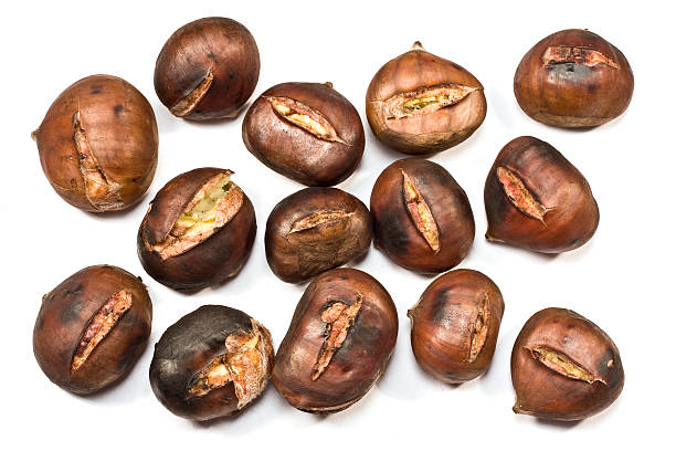 Chestnut stock photo
