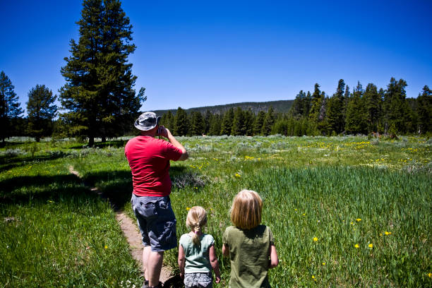 Viewing the Wildlife. stock photo