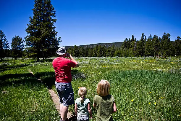 A father and his two daughters are viewing two Mule Deer Bucks on a family vacations at Yellowstone National Park.Part of the Family Vacation Series: