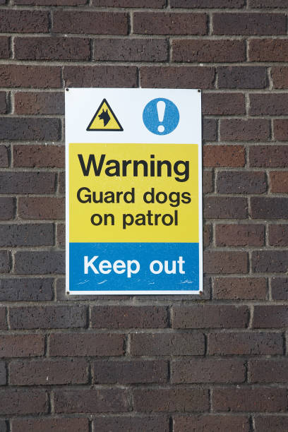 istock Guard dogs warning sign 173593486