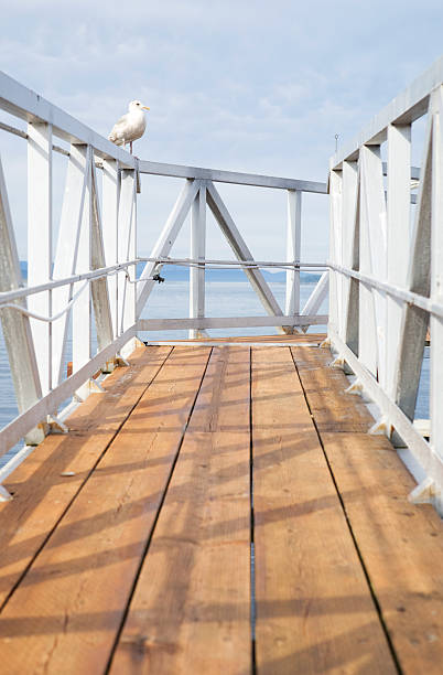 Passerelle de soleil à la mer - Photo