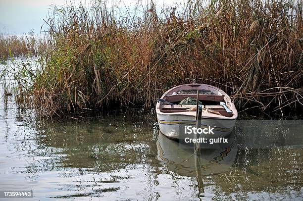 Barco A Remos - Fotografias de stock e mais imagens de Ao Ar Livre - Ao Ar Livre, Arbusto, Azul