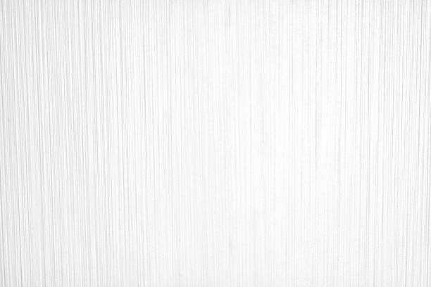 White wall with shadow of leaves overlay. Sunlight effect shadow on the wall. Minimal blurred backdrop backgrounds. Summer tropical surface background.