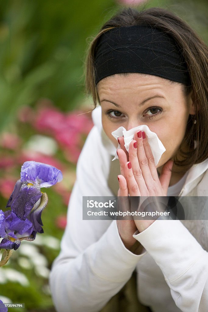 Niesen - Lizenzfrei Allergie Stock-Foto