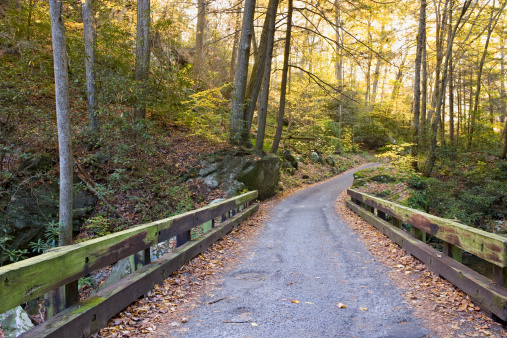 Autumn bridge along the Roaring Fork in the Smoky Mountains.