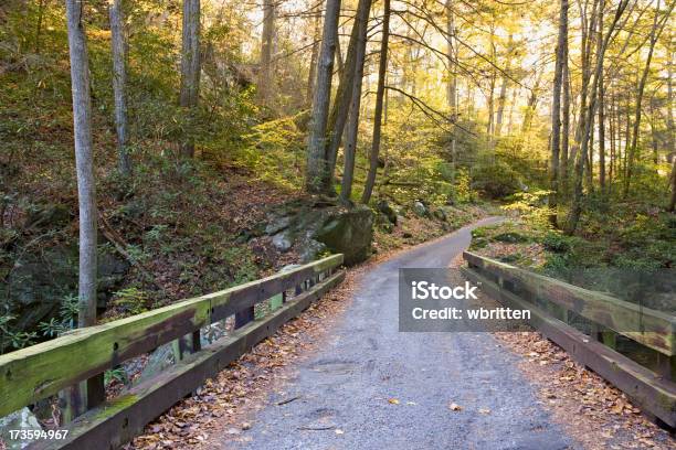 Foto de Smoky Mountain Outono Estradas Series e mais fotos de stock de Parque Nacional das Great Smoky Mountains - Parque Nacional das Great Smoky Mountains, Rio Roaring Fork, Bosque - Floresta