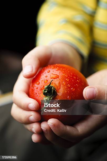 Cherish 토마토색 개념에 대한 스톡 사진 및 기타 이미지 - 개념, 건강한 생활방식, 건강한 식생활